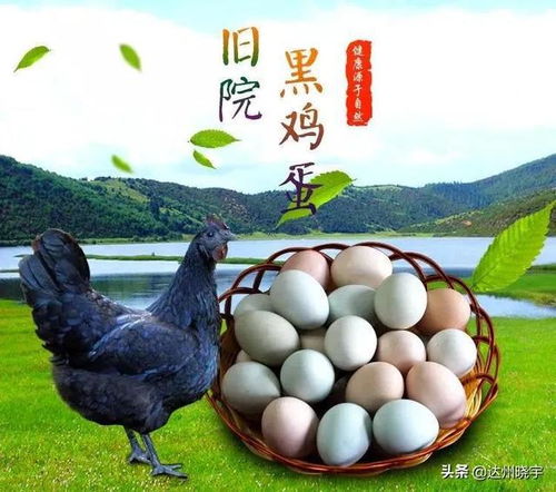 四川达州家禽美食全攻略 这些地道美味，你尝过几种？