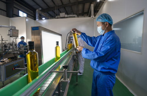 云南核桃油提取技术取得新突破，助力家禽养殖业发展