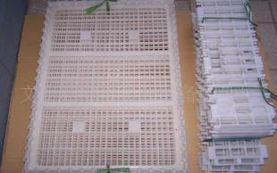 专业家禽运输解决方案 供应鸡笼与家禽运输塑料筐，助力养殖业高效发展